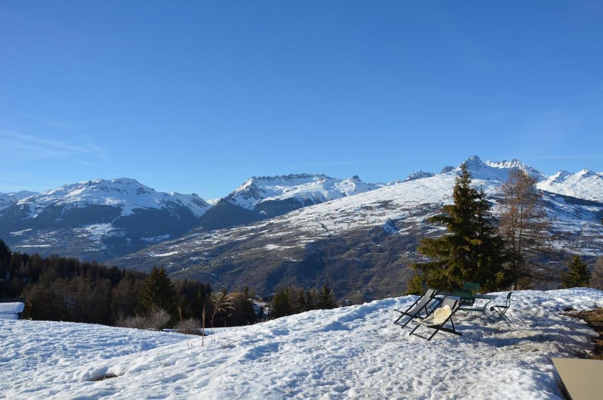 L'Alpage Des Pistes - Chalet Skis Aux Pieds A La Plagne エクステリア 写真